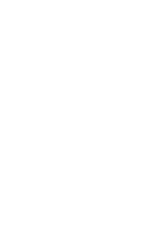selfie phone white