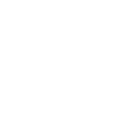 password icon